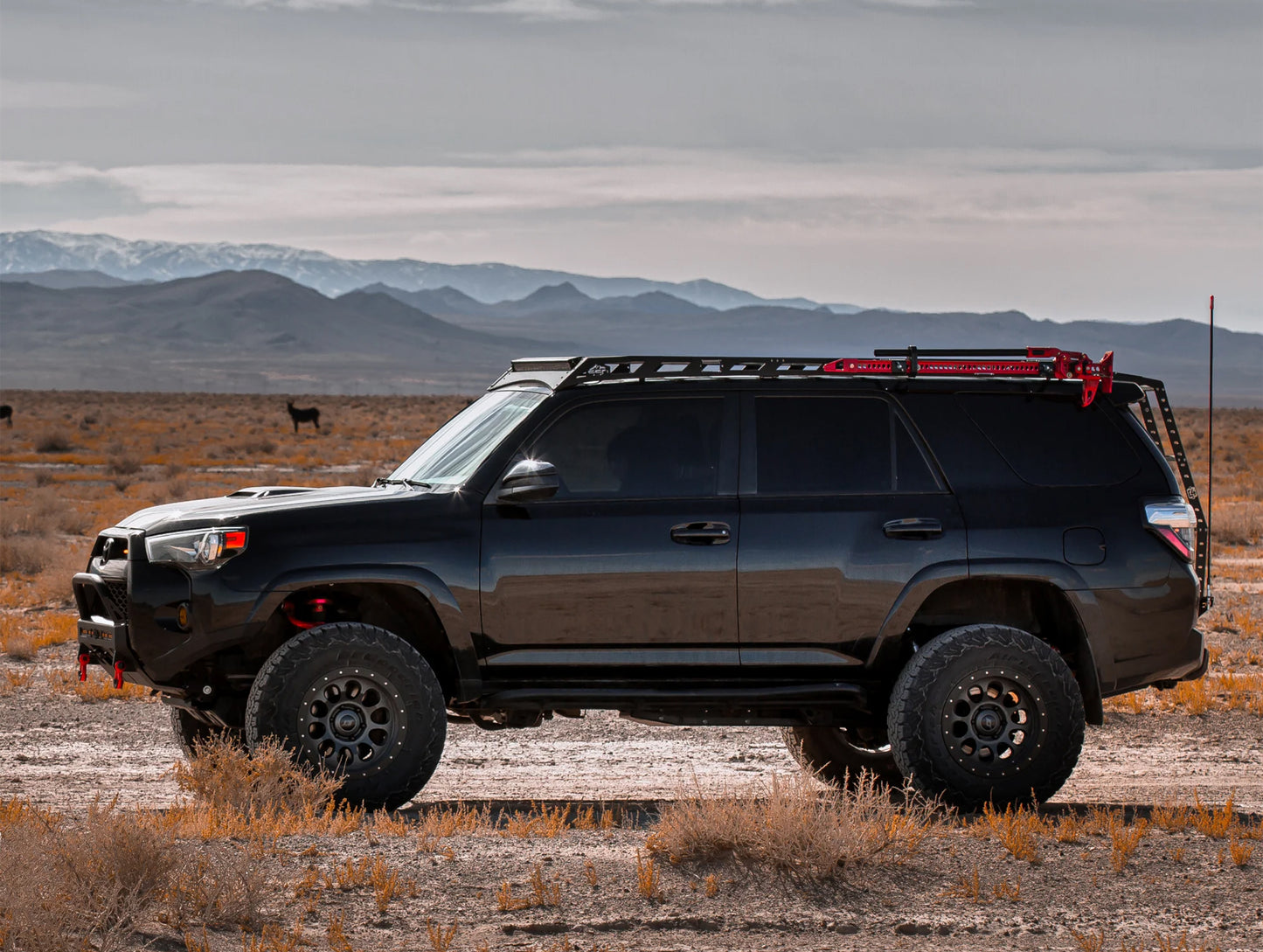 Southern Style Offroad Roof Rack - 10-24 4Runner